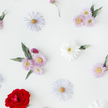 Gül, chamomiles ve yeşil yaprakları 