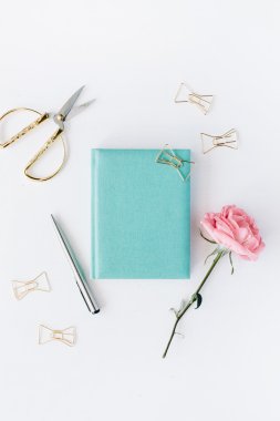 pembe Gül, makas, altın klipler