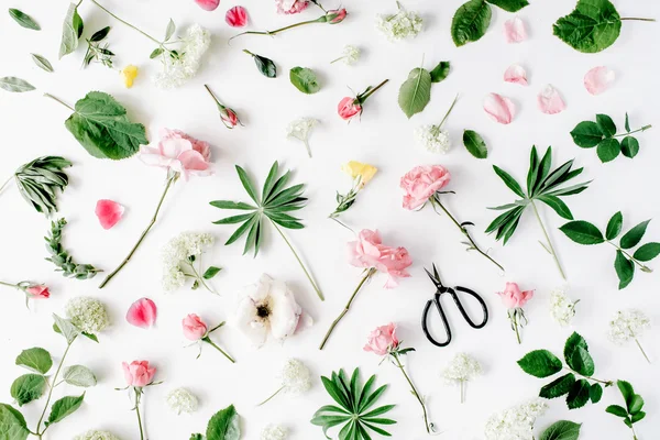 Pink roses and scissors on white — Stock Photo, Image