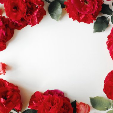 kırmızı gül ile düz yatıyordu çerçeve