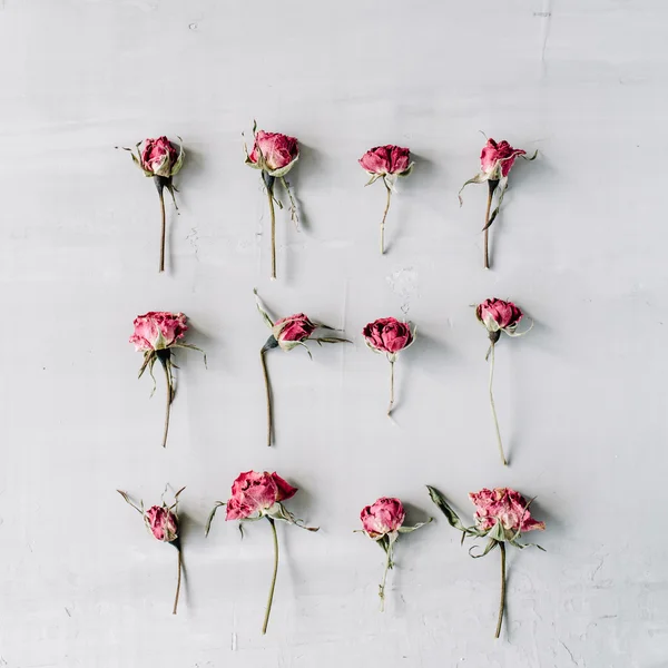 Rosas rosadas sobre fondo de hormigón gris . —  Fotos de Stock