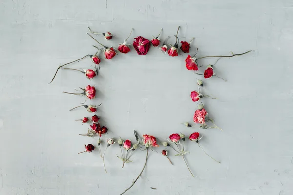 Marco plano con rosas rojas — Foto de Stock