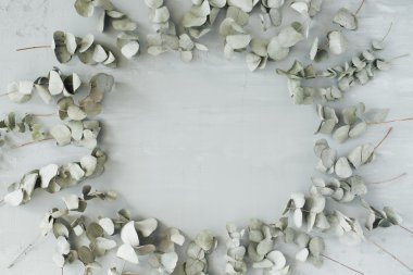 yuvarlak okaliptüs çerçevesi