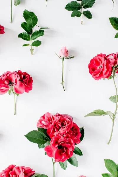 Erstaunliche rote Rosen — Stockfoto