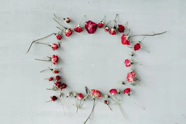 Marco plano con rosas rojas —  Fotos de Stock