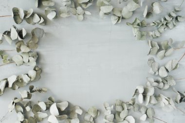 yuvarlak okaliptüs çerçevesi