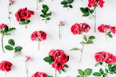 Şaşırtıcı kırmızı gül