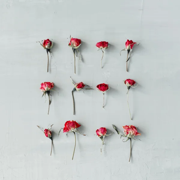 Rosarote Rosen auf grauem Beton — Stockfoto