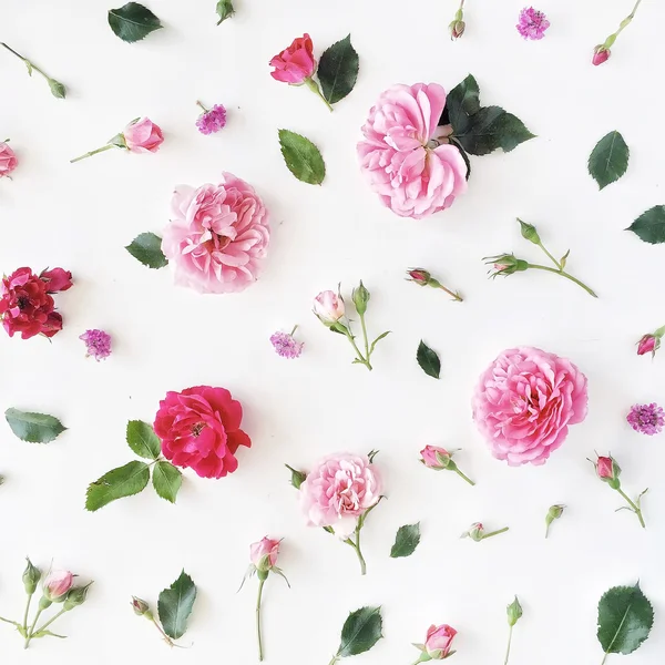 Tedere rozen patroon — Stockfoto