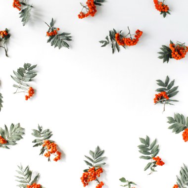 Kırmızı rowan çerçeve