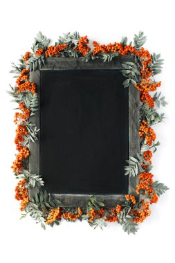 Kırmızı rowan çerçeve