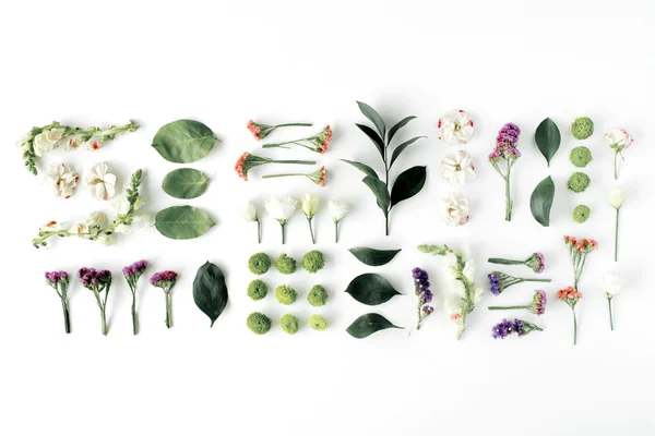 Komposisi bunga dan bagian tanaman — Stok Foto