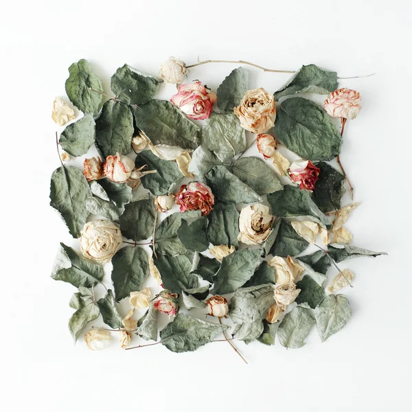 Suche róże różowy i liści — Zdjęcie stockowe