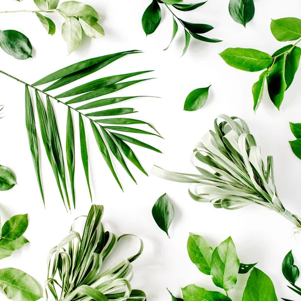 잎 녹색 패턴 — 스톡 사진