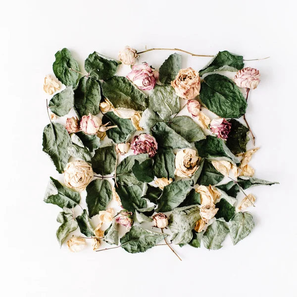 Rose rosa secche e foglie — Foto Stock
