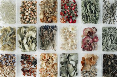 Çeşitli kuru çay çiçek