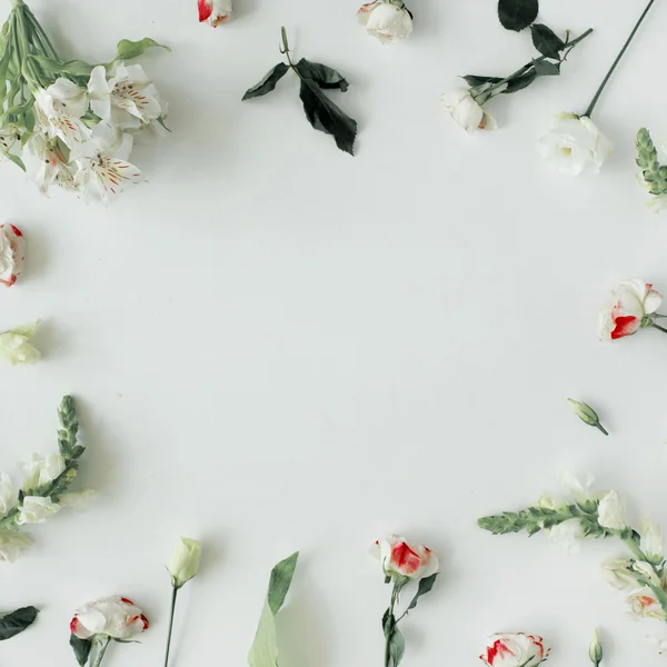 Tender flowers frame — Stock Photo, Image