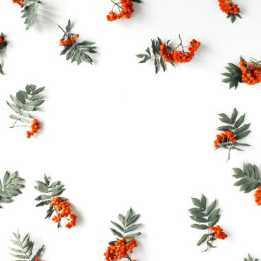 Kırmızı rowan çerçeve