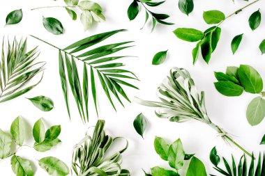 Yaprakları ile yeşil desen