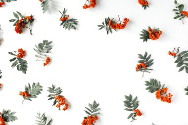 Kırmızı rowan çerçeve