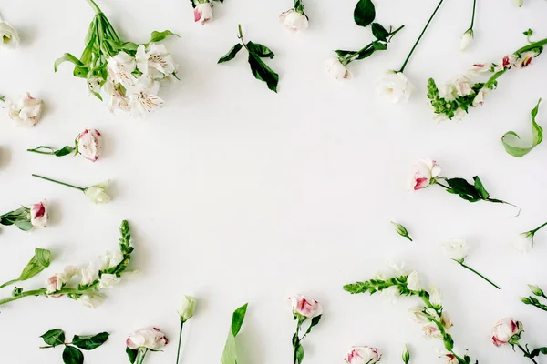 柔らかい花フレーム — ストック写真