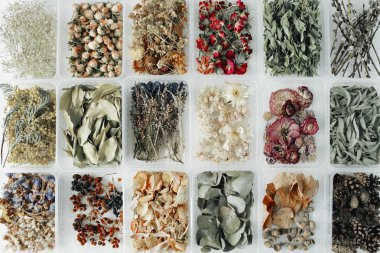 Çeşitli kuru çay çiçek