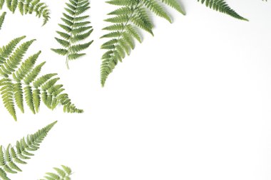 eğreltiotu yaprakları desen