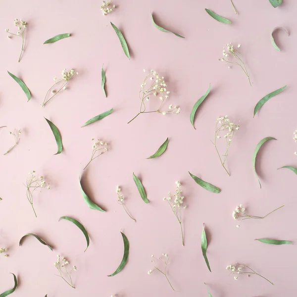 Patroon met droge bloemen — Stockfoto