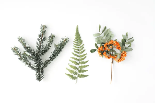 Groene takken en berg as bessen — Stockfoto