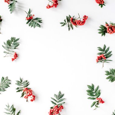 Kırmızı rowan çerçeve