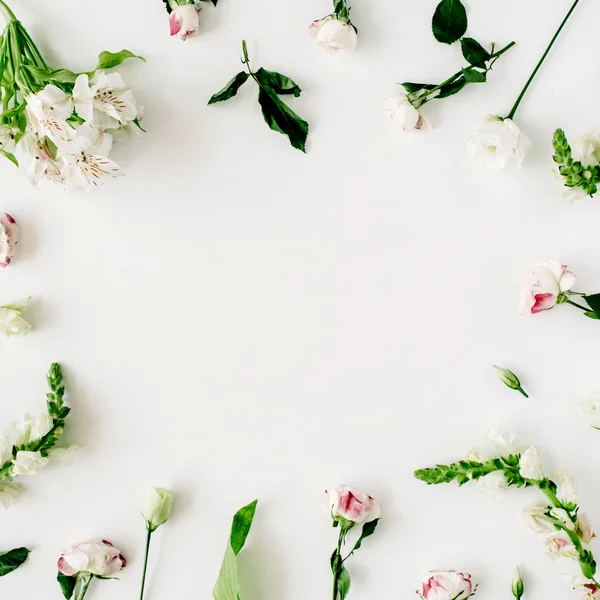 Tender flowers frame — Stock Photo, Image