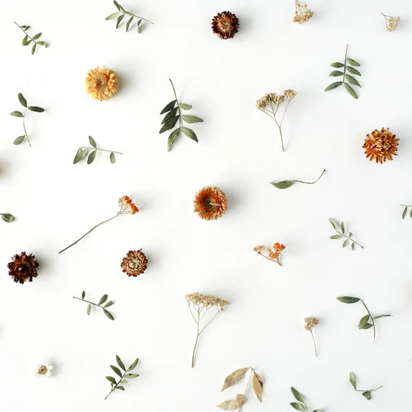 Giallo telaio fiori secchi — Foto Stock
