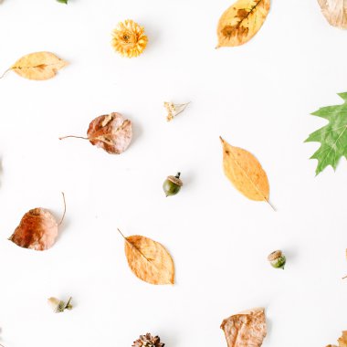 Sonbahar yaprakları desen