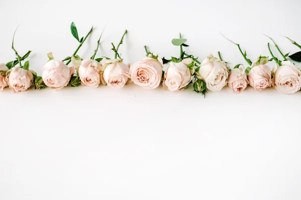 Tender roses border — Stock Photo, Image