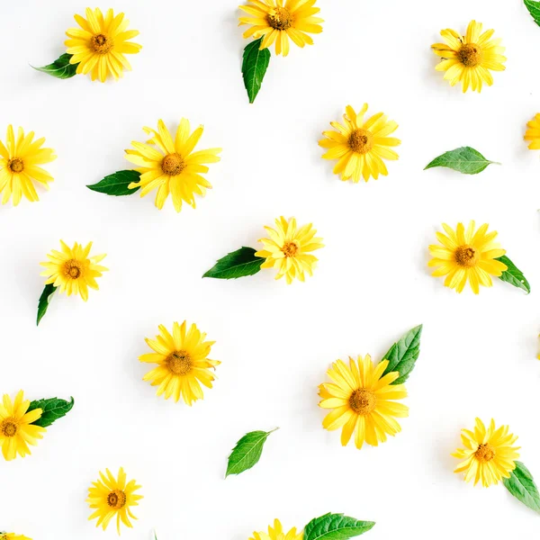 Yellow daisies pattern