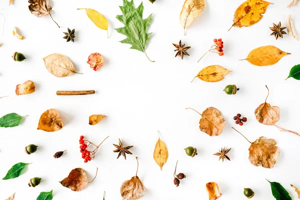 Ramki jesienny liść — Zdjęcie stockowe