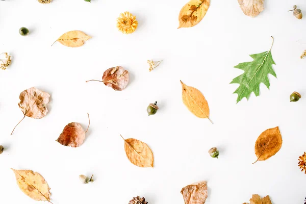 Patrón de hojas de otoño — Foto de Stock