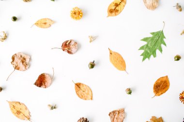 Sonbahar yaprakları desen