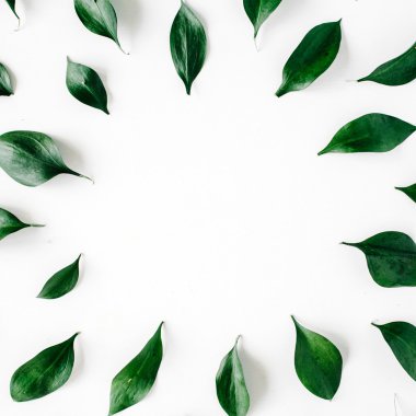 yeşil yaprak çerçeve