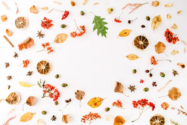 sonbahar yaprakları çerçeve