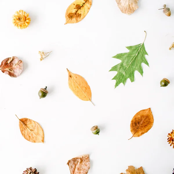 Jesienne liście wzór — Zdjęcie stockowe