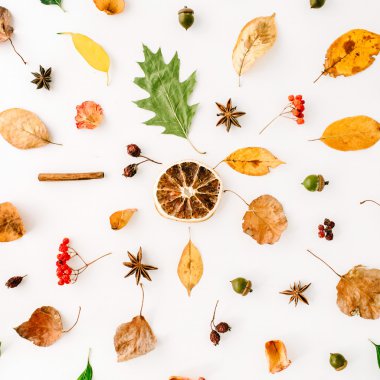 sonbahar sonbahar düz lay