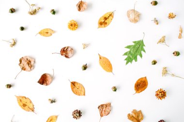 sonbahar sonbahar düz lay