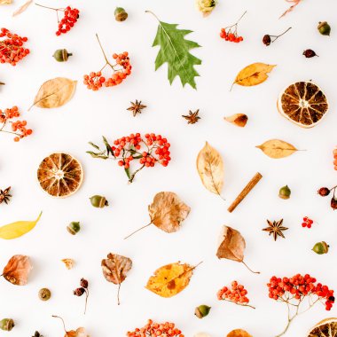 sonbahar sonbahar düz lay