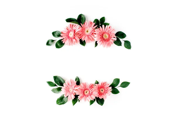 Różowy gerbera daisies — Zdjęcie stockowe