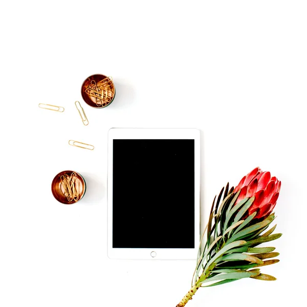プロテウスの花、タブレットと黄金のクリップ — ストック写真