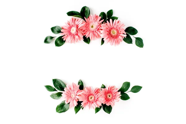 Gerbera rosa fiori margherita — Foto Stock