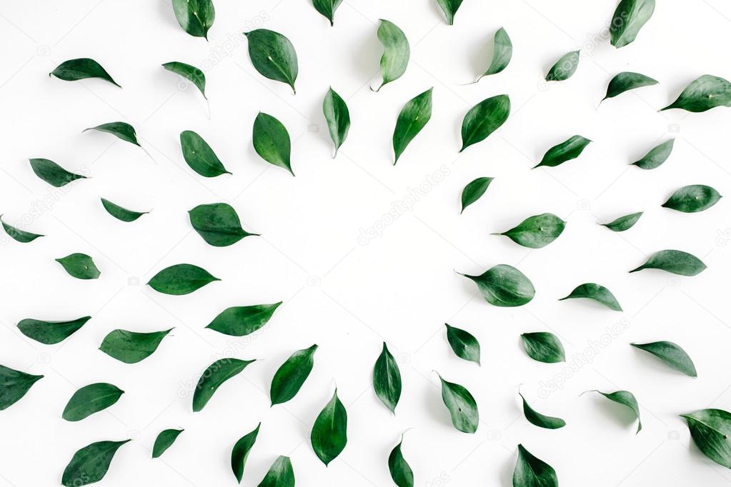 green leaves round frame