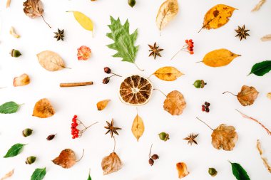 sonbahar sonbahar düz lay