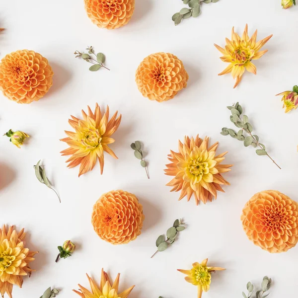 Hermosos Brotes Flores Dalia Naranja Patrón Ramas Eucalipto Sobre Fondo —  Fotos de Stock